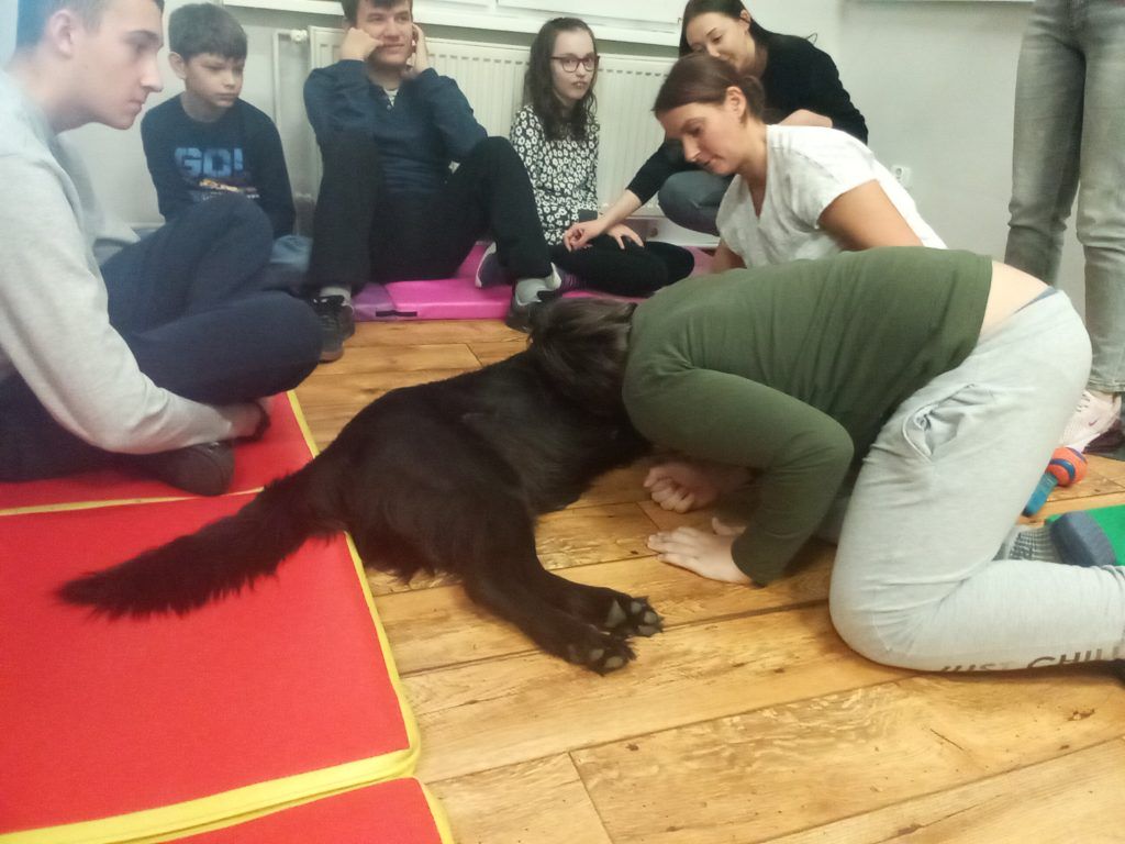W sali grupa dzieci i terapeutka siedzą na podłodze. Chłopiec pochyla się nad psem , aby usłyszeć bicie jego serca. Pozostała grupa czeka na swoja kolej.